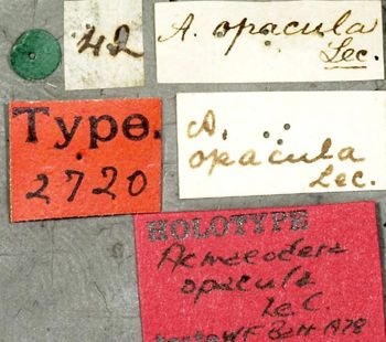 Media type: image;   Entomology 2720 Aspect: labels